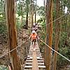 DSCN0270.JPG