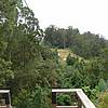 DSCN0274.JPG