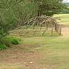 DSCN0289.JPG