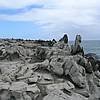 DSCN0295.JPG