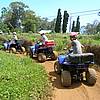 DSCN0340.JPG