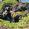 DSCN0405.JPG