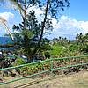 DSCN0409.JPG