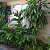 DSCN0440.JPG