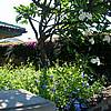 DSCN0441.JPG