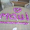 DSCN0448.JPG