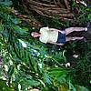 DSCN0551.JPG
