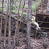 IMG_0859.JPG