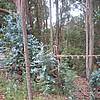 IMG_0861.JPG