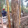 IMG_0865.JPG