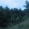 IMG_0870.JPG
