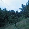IMG_0871.JPG