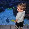 IMG_0942.JPG