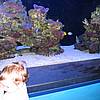 IMG_0943.JPG