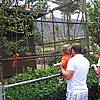 IMG_0975.JPG