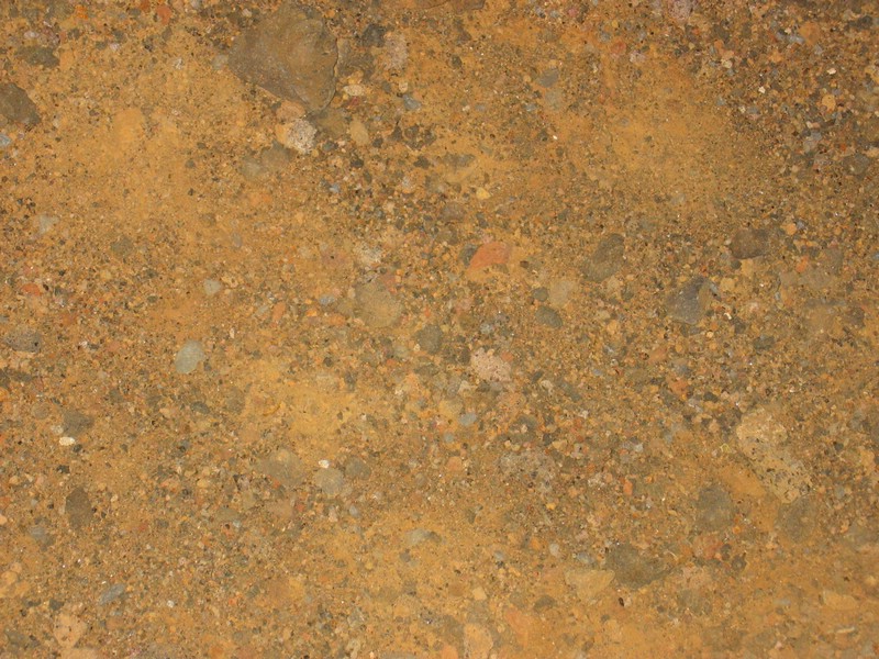click for next image