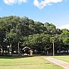 IMG_5511.JPG