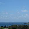 IMG_5515.JPG
