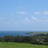 IMG_5516.JPG