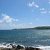 IMG_5517.JPG