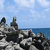 IMG_5521.JPG