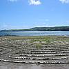 IMG_5524.JPG