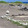 IMG_5529.JPG