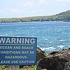 IMG_5531.JPG