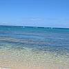 IMG_5535.JPG