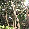 IMG_5545.JPG