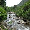 IMG_5550.JPG