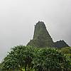 IMG_5552.JPG