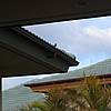 IMG_9738.JPG