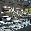 IMG_9747.JPG