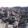 IMG_9768.JPG