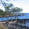 IMG_9771.JPG