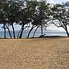 IMG_9774.JPG