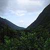IMG_9821.JPG
