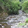IMG_9824.JPG