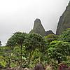 IMG_9826.JPG