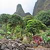 IMG_9827.JPG