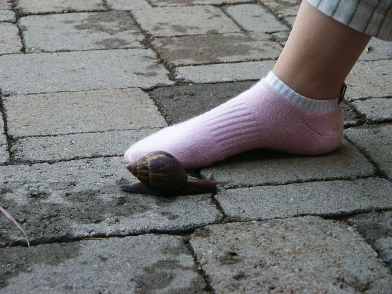 click for next image