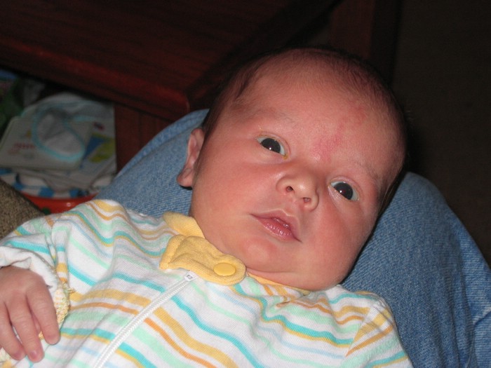 april06patrick14.jpg