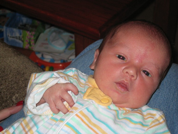 april06patrick15.jpg
