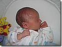 april06patrick18.jpg april06patrick18.jpg