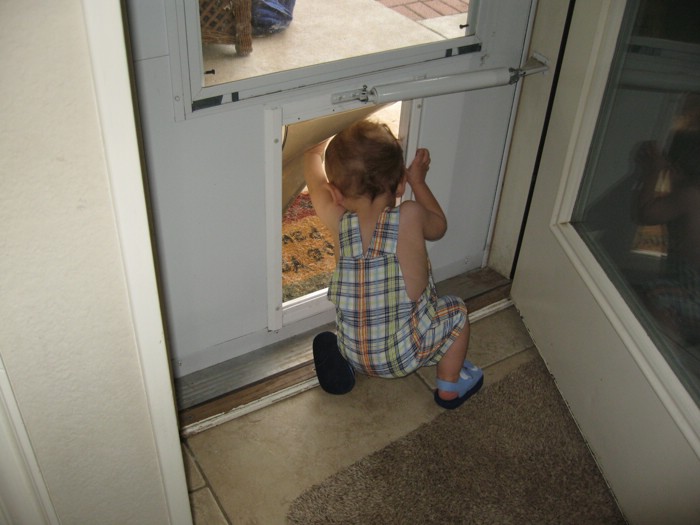 IMG_2307.JPG