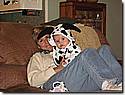 IMG_0571.JPG IMG_0571.JPG
