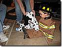 IMG_0578.JPG IMG_0578.JPG