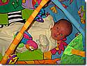 Img_0317.jpg Img_0317.jpg
