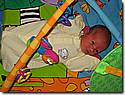 Img_0318.jpg Img_0318.jpg